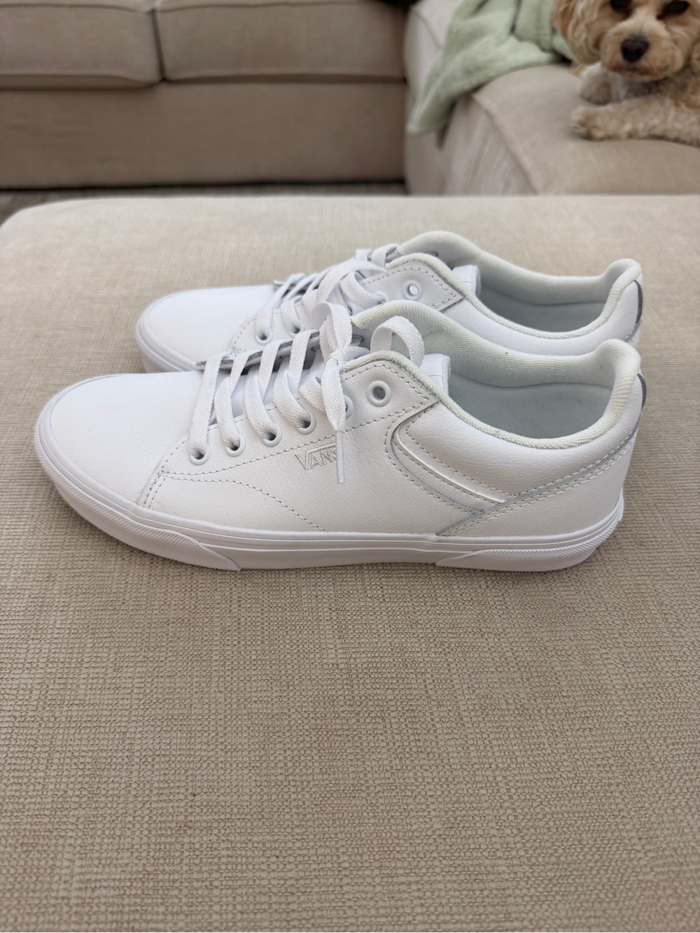 Never Worn Vans Womens Low-Top Sneakers in White